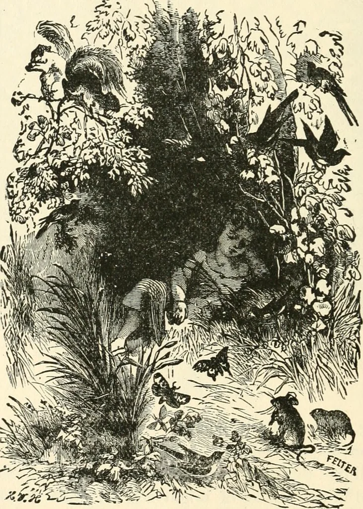 An illustration from Our homes and their adornments, or, How to build, finish, furnish and adorn a home, containing practical instructions for the building of homes, interior decoration, wood carving, scroll sawing, house painting, window hangings, screens, curtains, window gardening, incidental decorations, decorative-art needle-work, and economic landscape gardening; to which is added a household compendium of new, practical and valuable recipes, the whole being designed to make happy homes for happy people, 1883, leaf 275
