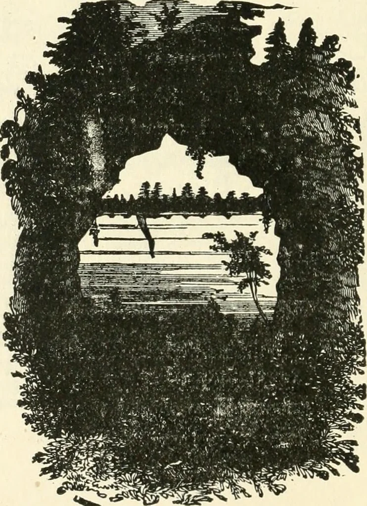 An illustration from Our homes and their adornments, or, How to build, finish, furnish and adorn a home, containing practical instructions for the building of homes, interior decoration, wood carving, scroll sawing, house painting, window hangings, screens, curtains, window gardening, incidental decorations, decorative-art needle-work, and economic landscape gardening; to which is added a household compendium of new, practical and valuable recipes, the whole being designed to make happy homes for happy people, 1883, leaf 291