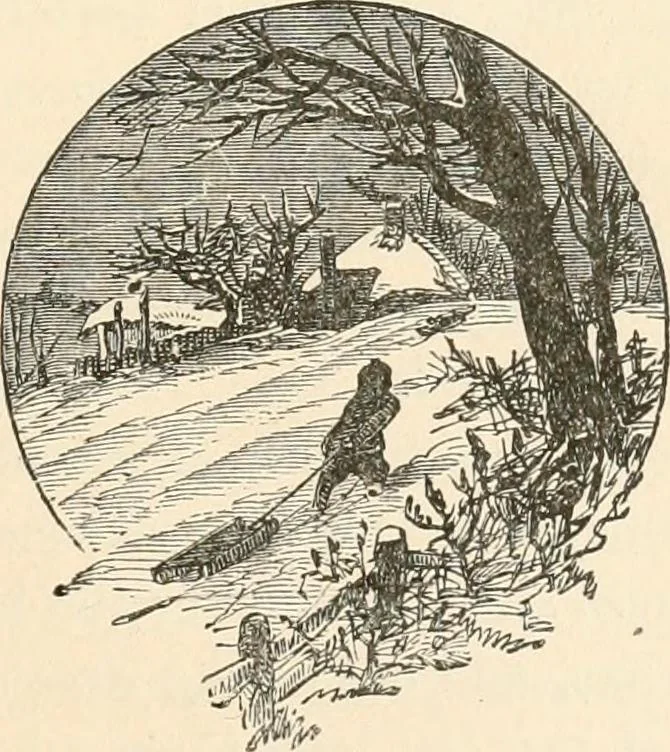 An illustration from Our homes and their adornments, or, How to build, finish, furnish and adorn a home, containing practical instructions for the building of homes, interior decoration, wood carving, scroll sawing, house painting, window hangings, screens, curtains, window gardening, incidental decorations, decorative-art needle-work, and economic landscape gardening; to which is added a household compendium of new, practical and valuable recipes, the whole being designed to make happy homes for happy people, 1883, leaf 38