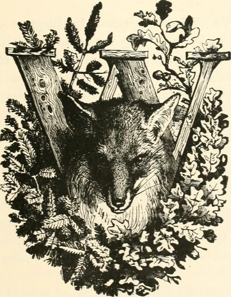 An illustration from Our homes and their adornments, or, How to build, finish, furnish and adorn a home, containing practical instructions for the building of homes, interior decoration, wood carving, scroll sawing, house painting, window hangings, screens, curtains, window gardening, incidental decorations, decorative-art needle-work, and economic landscape gardening; to which is added a household compendium of new, practical and valuable recipes, the whole being designed to make happy homes for happy people, 1883, leaf 420