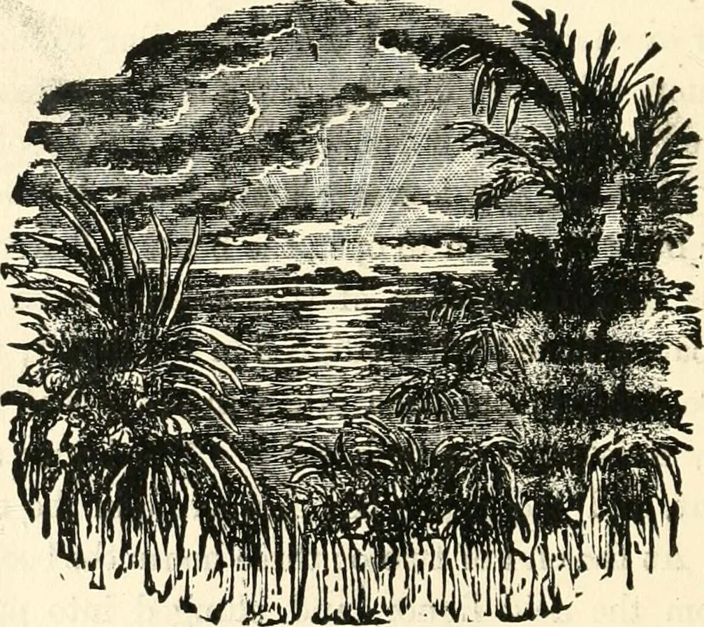 An illustration from Our homes and their adornments, or, How to build, finish, furnish and adorn a home, containing practical instructions for the building of homes, interior decoration, wood carving, scroll sawing, house painting, window hangings, screens, curtains, window gardening, incidental decorations, decorative-art needle-work, and economic landscape gardening; to which is added a household compendium of new, practical and valuable recipes, the whole being designed to make happy homes for happy people, 1883, leaf 435