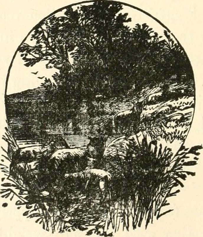 An illustration from Our homes and their adornments, or, How to build, finish, furnish and adorn a home, containing practical instructions for the building of homes, interior decoration, wood carving, scroll sawing, house painting, window hangings, screens, curtains, window gardening, incidental decorations, decorative-art needle-work, and economic landscape gardening; to which is added a household compendium of new, practical and valuable recipes, the whole being designed to make happy homes for happy people, 1883, leaf 477
