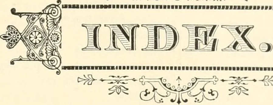 An illustration from Our homes and their adornments, or, How to build, finish, furnish and adorn a home, containing practical instructions for the building of homes, interior decoration, wood carving, scroll sawing, house painting, window hangings, screens, curtains, window gardening, incidental decorations, decorative-art needle-work, and economic landscape gardening; to which is added a household compendium of new, practical and valuable recipes, the whole being designed to make happy homes for happy people, 1883, leaf 546