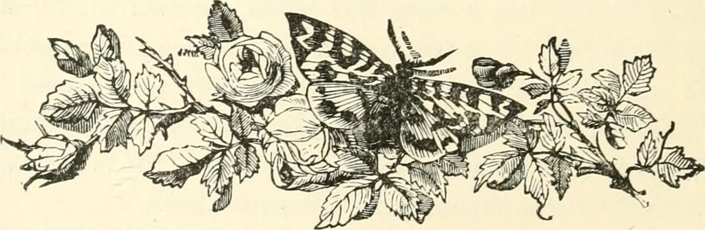 An illustration from Our homes and their adornments, or, How to build, finish, furnish and adorn a home, containing practical instructions for the building of homes, interior decoration, wood carving, scroll sawing, house painting, window hangings, screens, curtains, window gardening, incidental decorations, decorative-art needle-work, and economic landscape gardening; to which is added a household compendium of new, practical and valuable recipes, the whole being designed to make happy homes for happy people, 1883, leaf 65