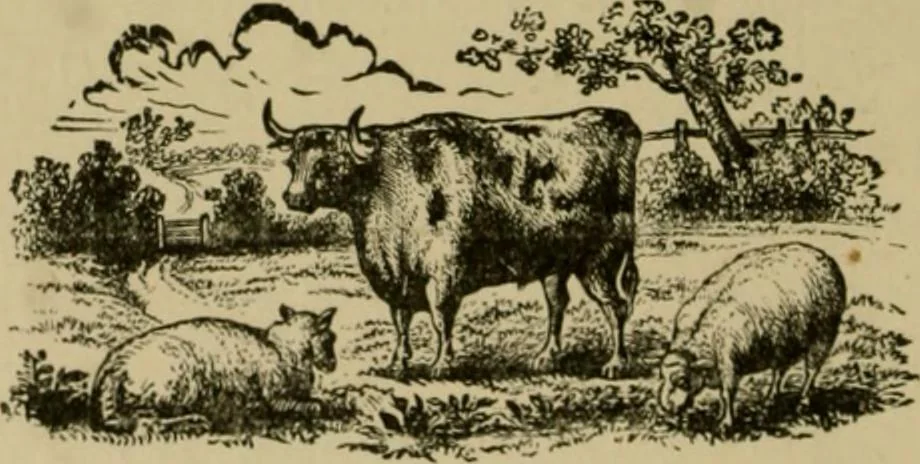An illustration from Our homes and their adornments;, 1884, leaf 155