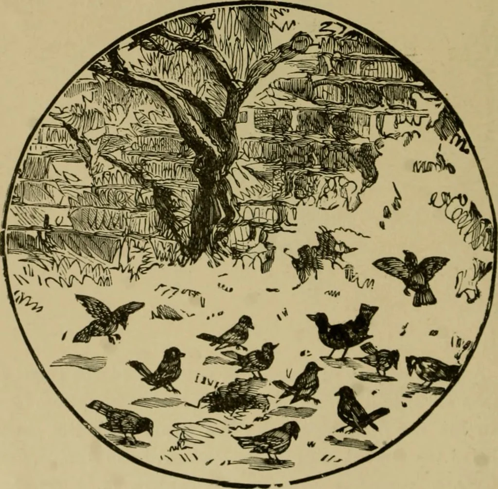 An illustration from Our homes and their adornments;, 1884, leaf 169