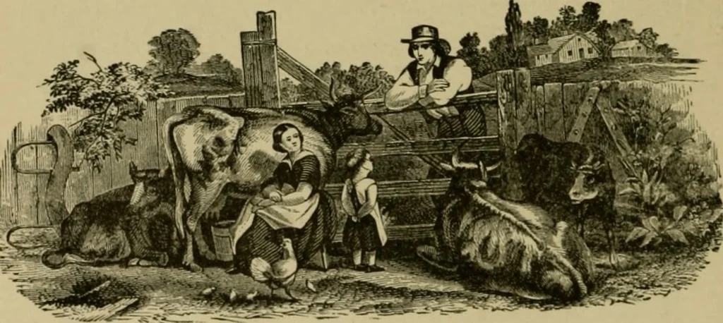 An illustration from Our homes and their adornments;, 1884, leaf 175