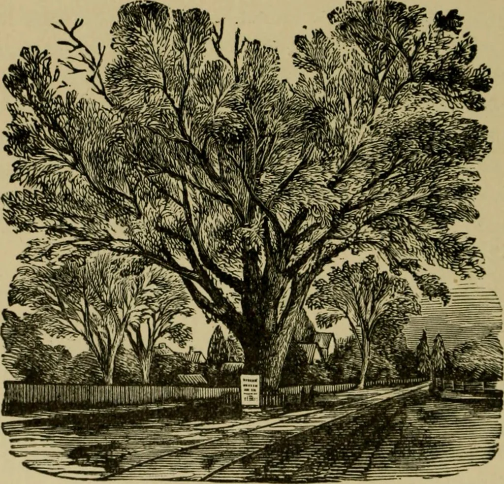 An illustration from Our homes and their adornments;, 1884, leaf 185