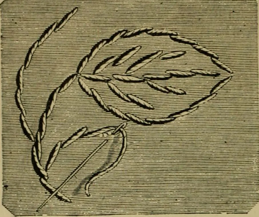 An illustration from Our homes and their adornments;, 1884, leaf 251