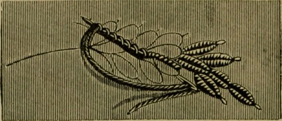 An illustration from Our homes and their adornments;, 1884, leaf 253