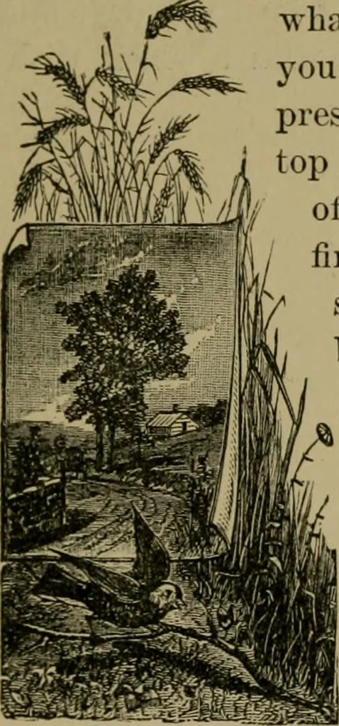 An illustration from Our homes and their adornments;, 1884, leaf 310