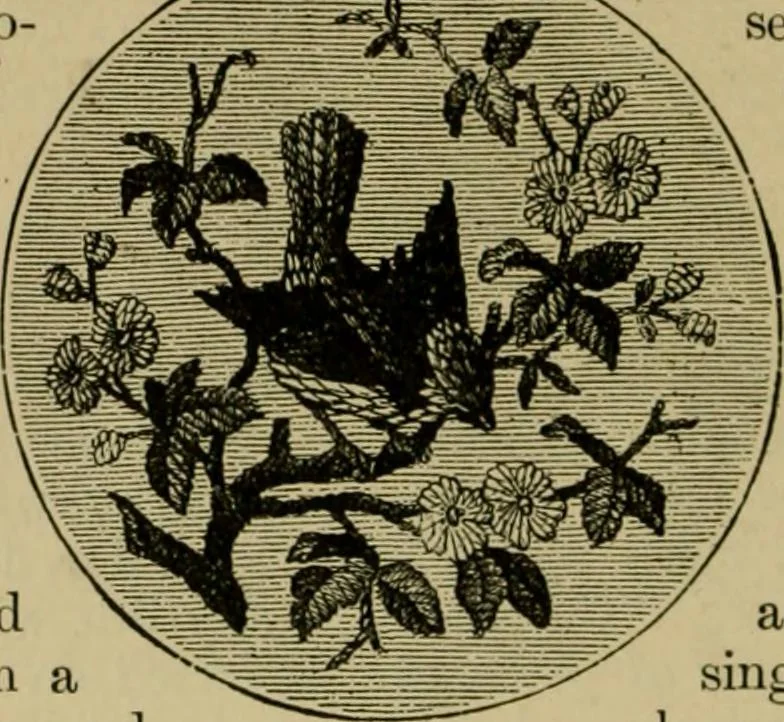 An illustration from Our homes and their adornments;, 1884, leaf 369