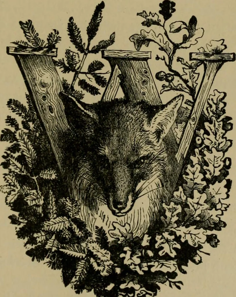 An illustration from Our homes and their adornments;, 1884, leaf 378
