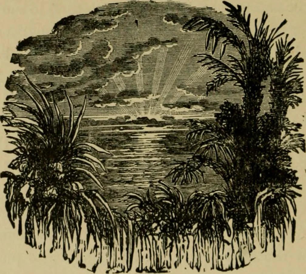 An illustration from Our homes and their adornments;, 1884, leaf 393