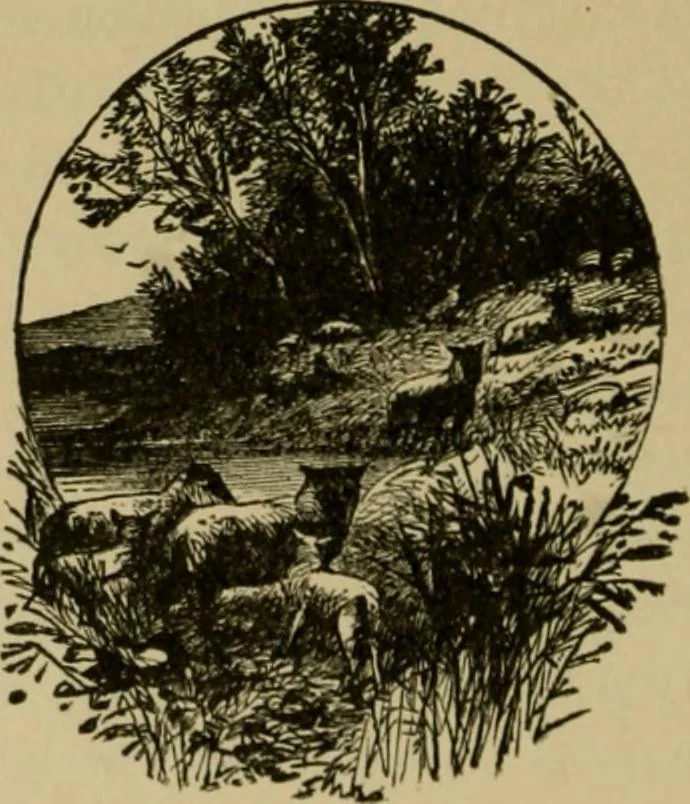 An illustration from Our homes and their adornments;, 1884, leaf 435