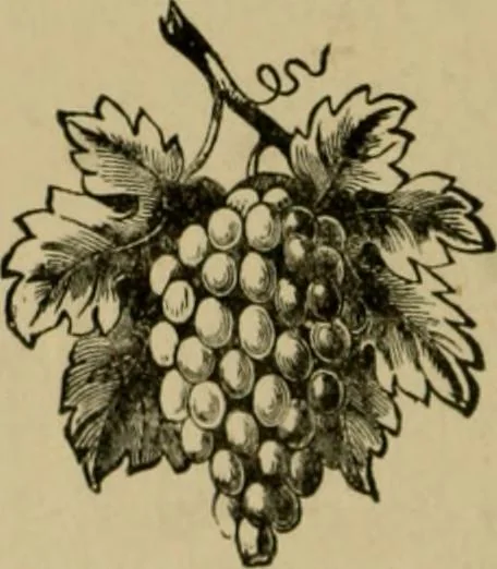 An illustration from Our homes and their adornments;, 1884, leaf 485