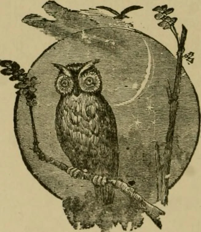 An illustration from Our homes and their adornments;, 1884, leaf 59