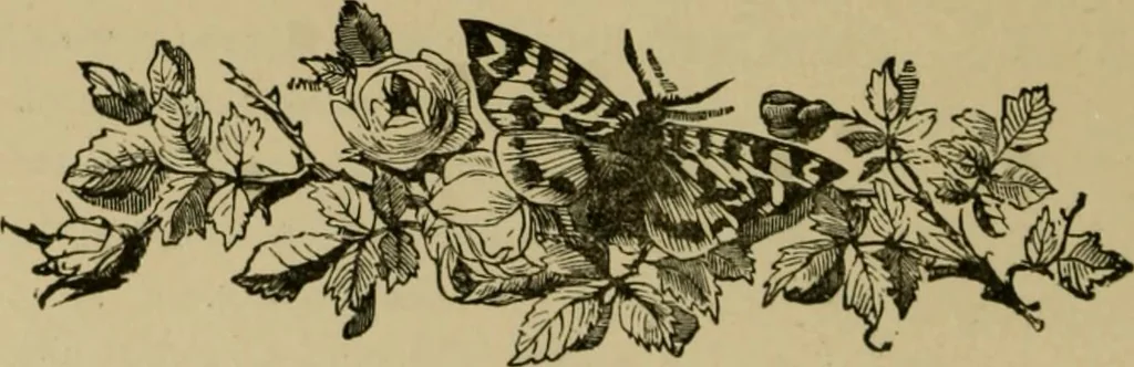An illustration from Our homes and their adornments;, 1884, leaf 65