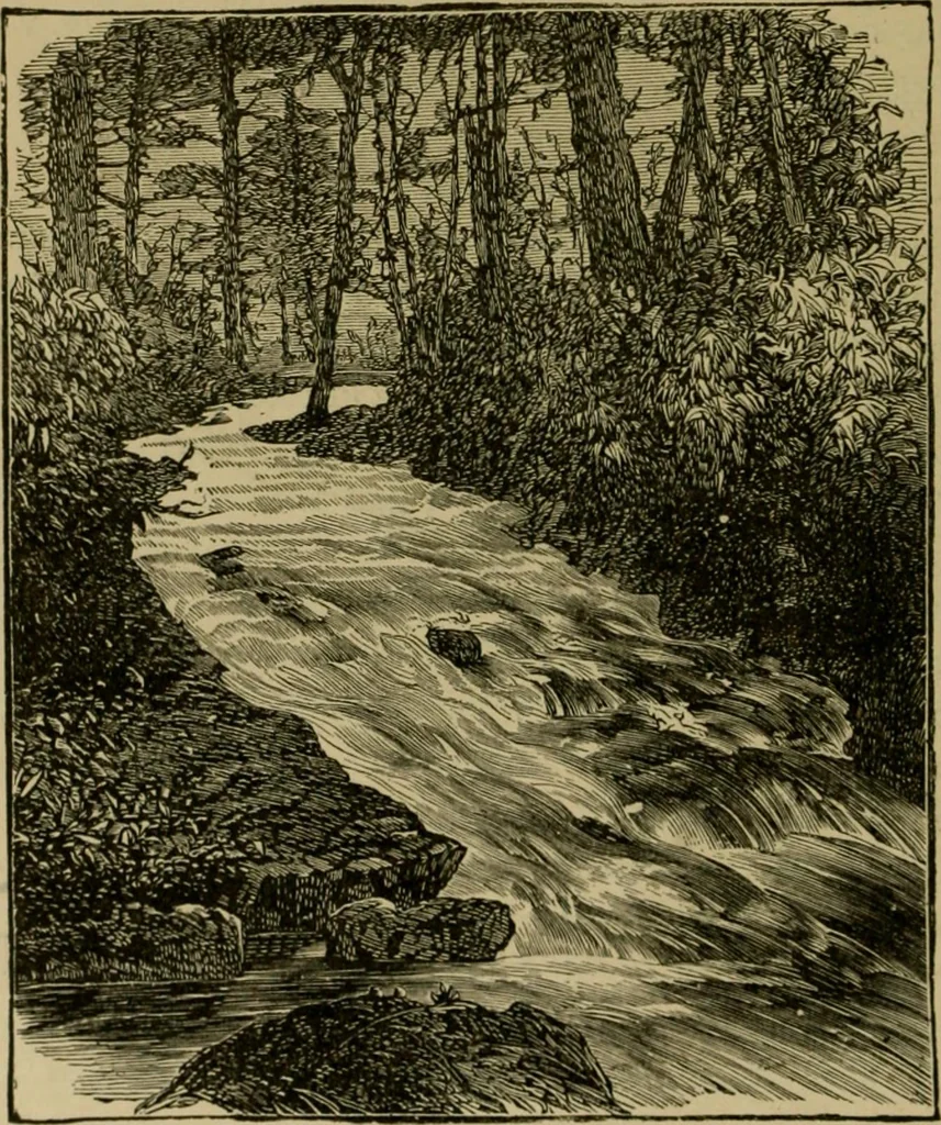 An illustration from Our homes and their adornments;, 1884, leaf 99