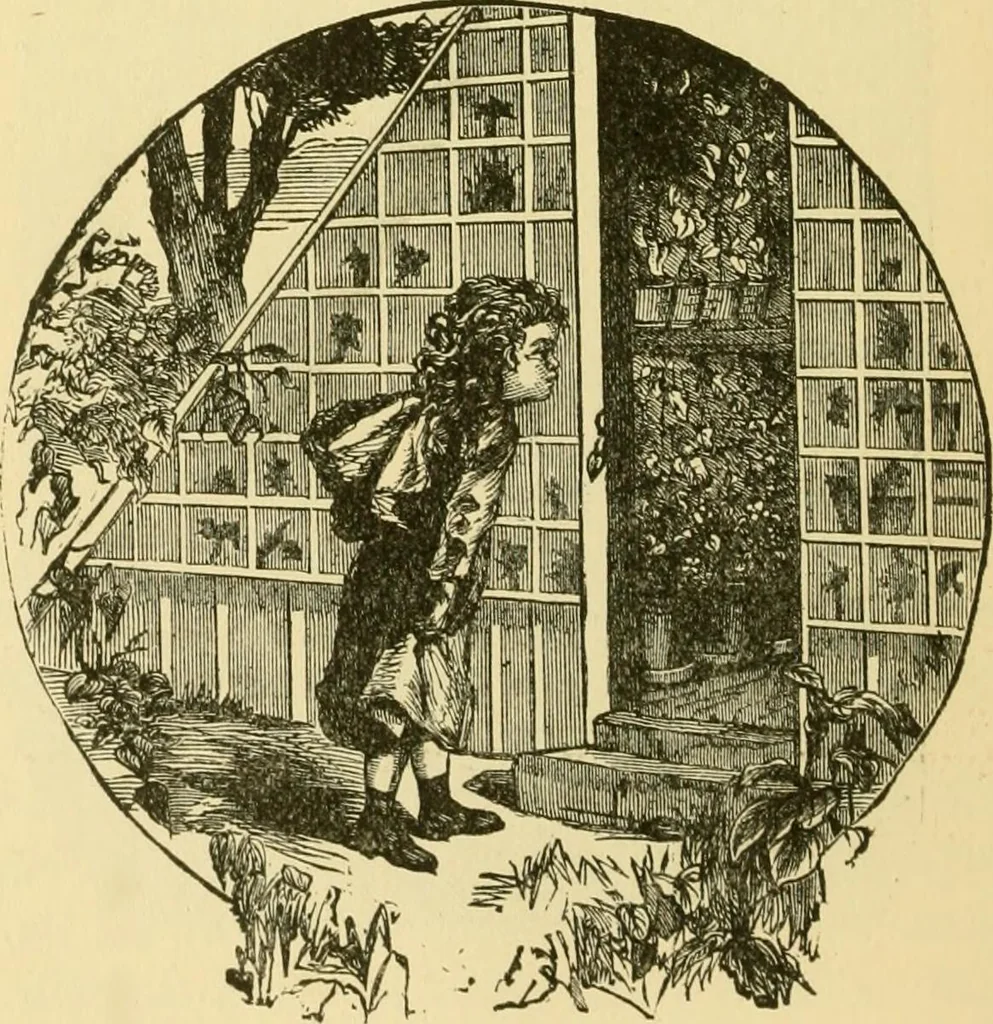An illustration from Our homes and their adornment:, 1883, leaf 117
