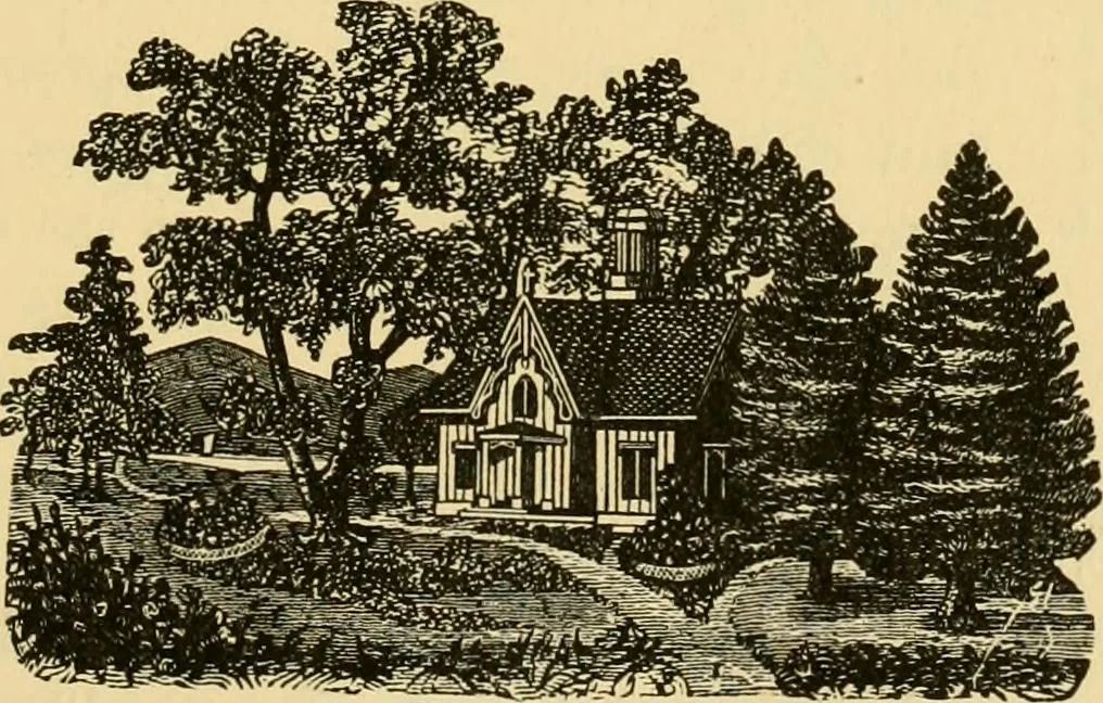 An illustration from Our homes and their adornment:, 1883, leaf 144