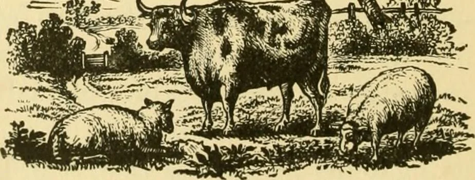 An illustration from Our homes and their adornment:, 1883, leaf 157