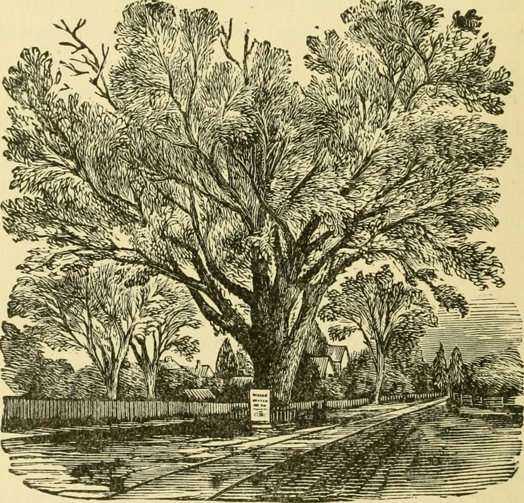 An illustration from Our homes and their adornment:, 1883, leaf 213