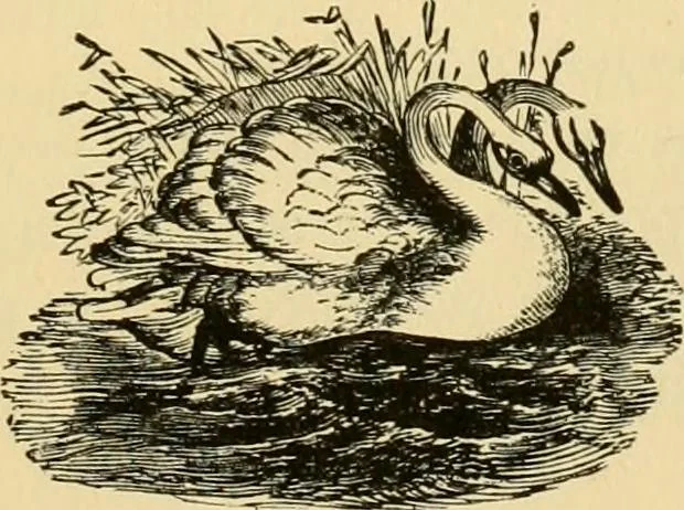 An illustration from Our homes and their adornment:, 1883, leaf 252