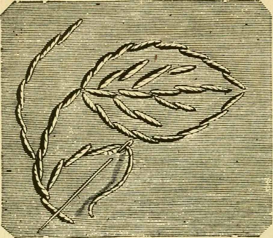 An illustration from Our homes and their adornment:, 1883, leaf 259