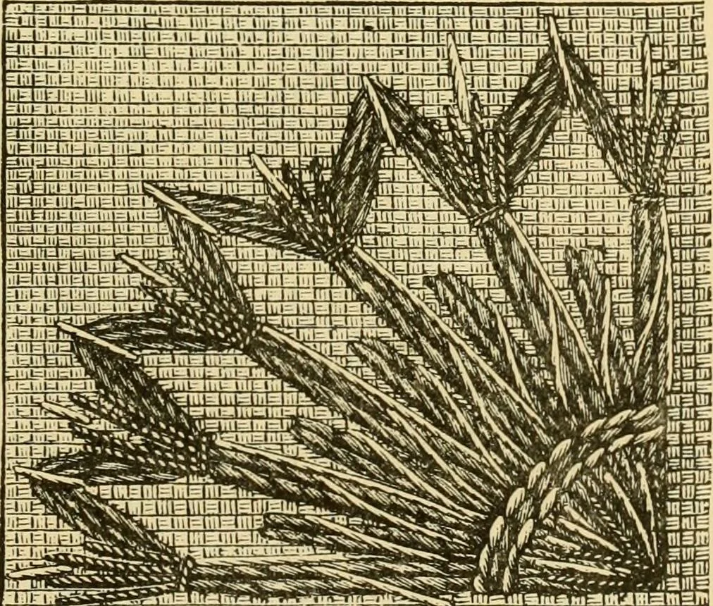 An illustration from Our homes and their adornment:, 1883, leaf 260