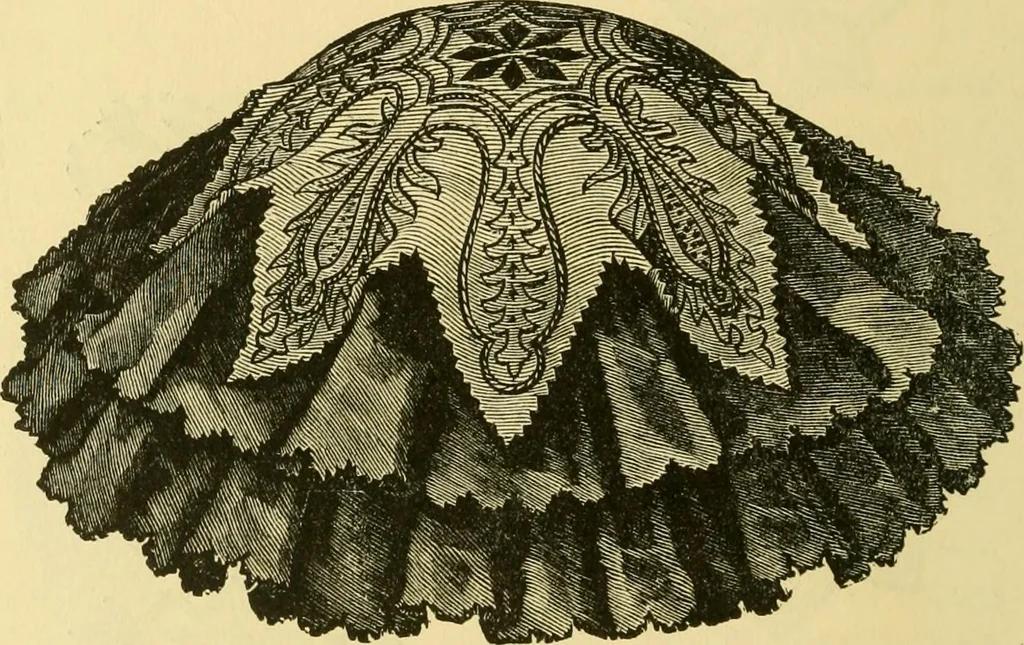 An illustration from Our homes and their adornment:, 1883, leaf 267