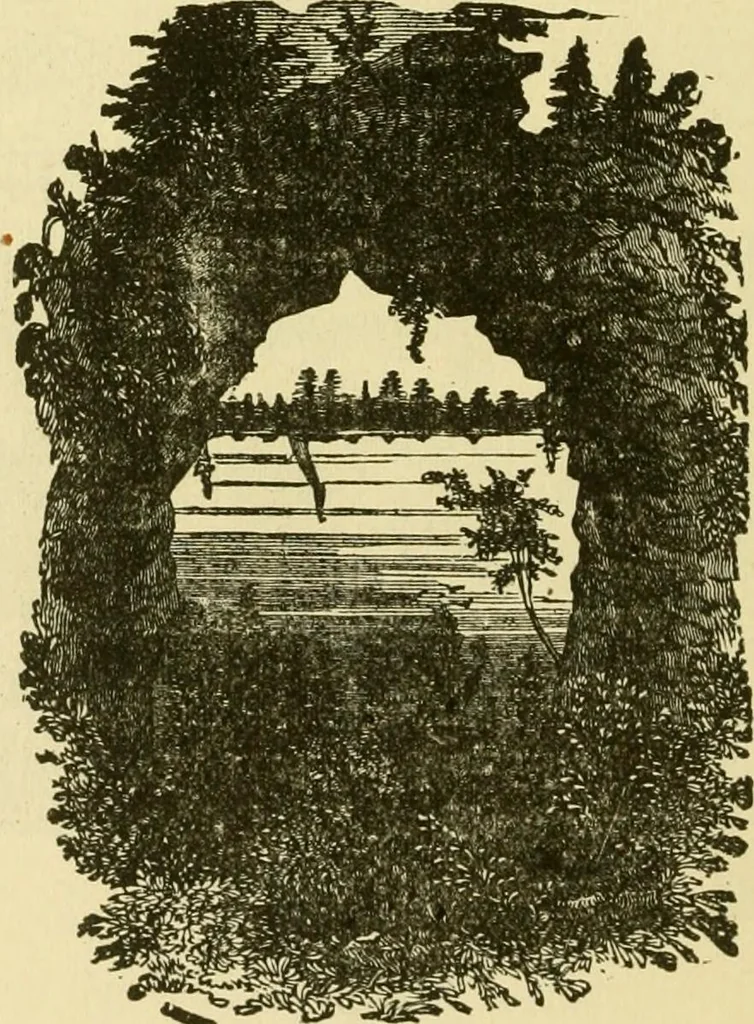 An illustration from Our homes and their adornment:, 1883, leaf 285
