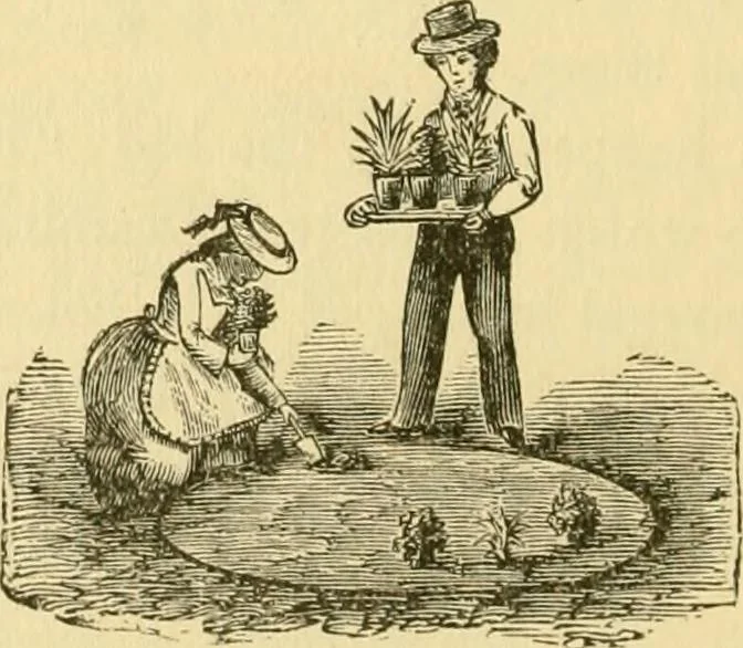 An illustration from Our homes and their adornment:, 1883, leaf 341