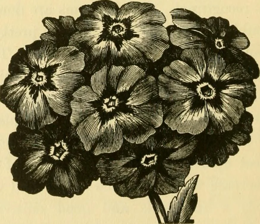 An illustration from Our homes and their adornment:, 1883, leaf 357