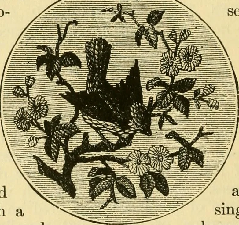 An illustration from Our homes and their adornment:, 1883, leaf 381