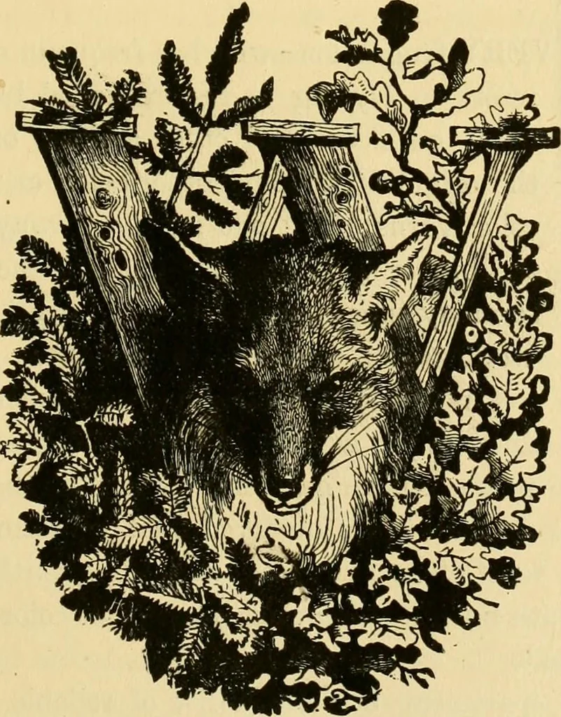 An illustration from Our homes and their adornment:, 1883, leaf 390