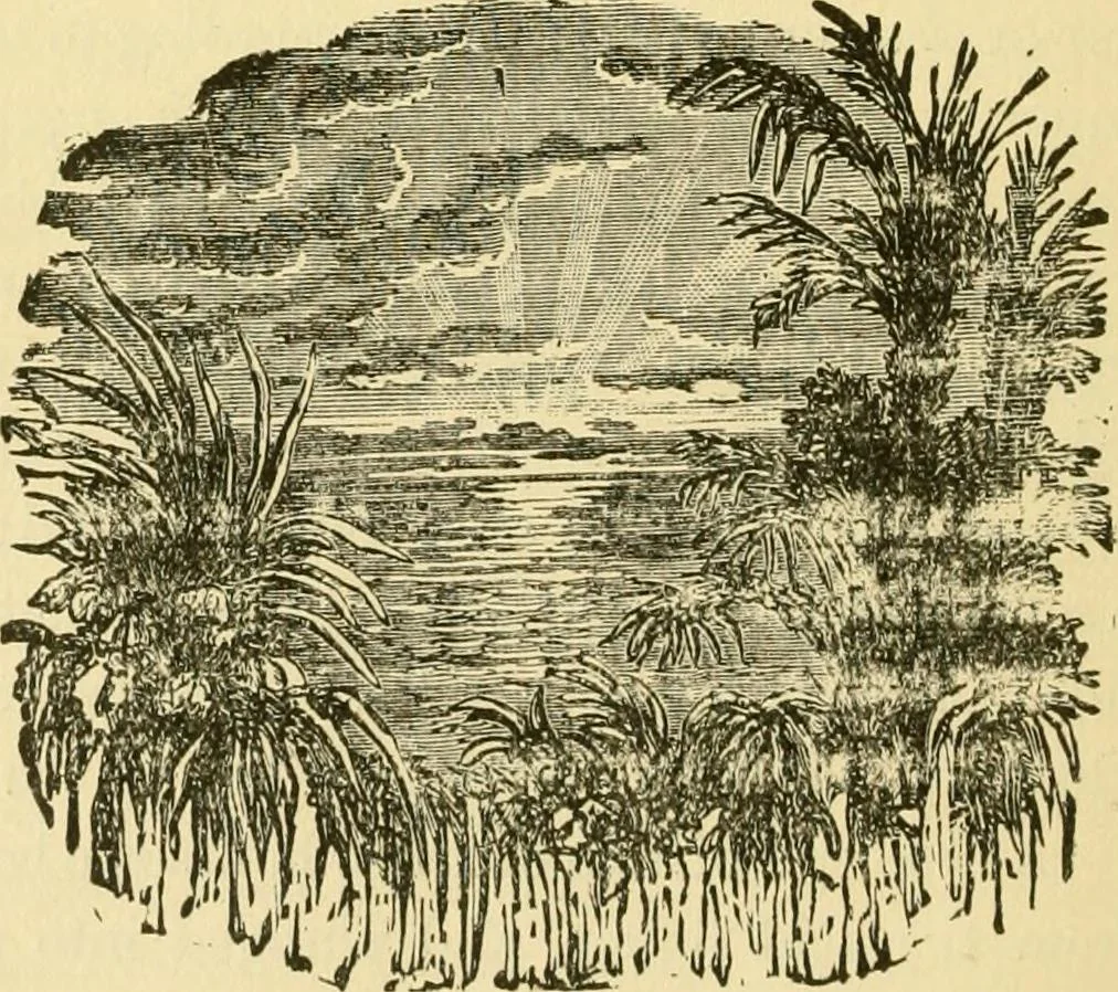 An illustration from Our homes and their adornment:, 1883, leaf 405