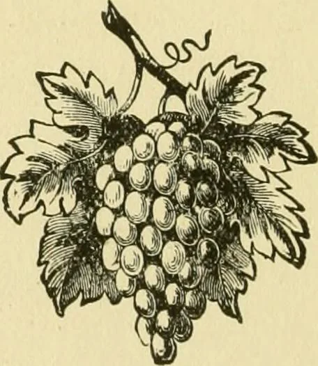 An illustration from Our homes and their adornment:, 1883, leaf 497