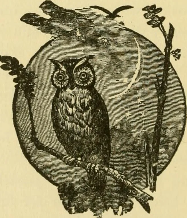 An illustration from Our homes and their adornment:, 1883, leaf 57