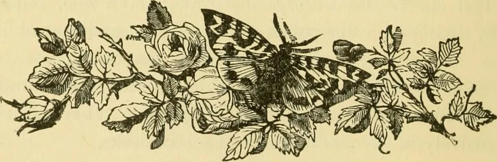 An illustration from Our homes and their adornment:, 1883, leaf 63