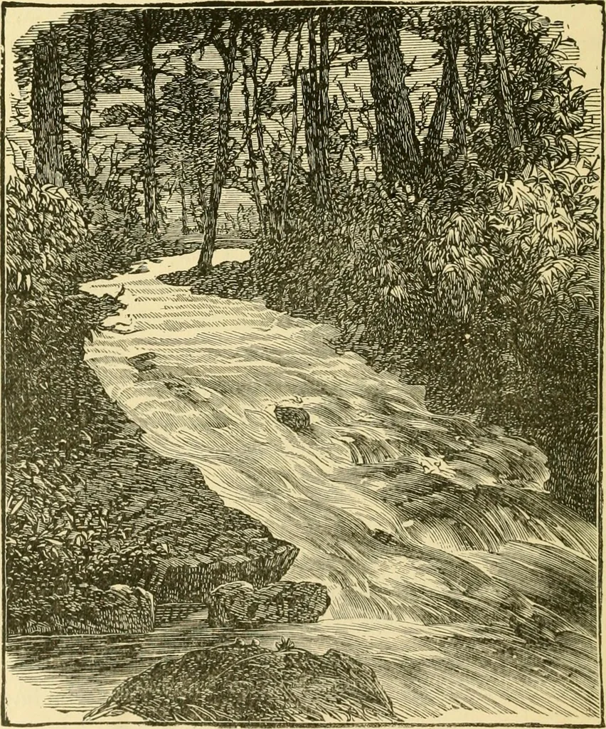 An illustration from Our homes and their adornment:, 1883, leaf 97
