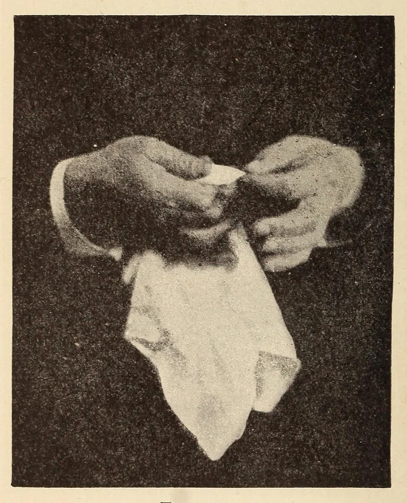 An illustration from Our magic : the art in magic, the theory of magic, the practice of magic, 1911, leaf 406