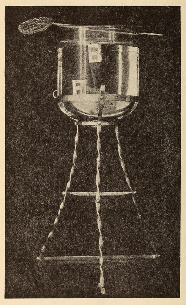 An illustration from Our magic : the art in magic, the theory of magic, the practice of magic, 1911, leaf 464