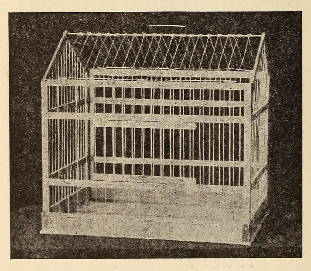 An illustration from Our magic : the art in magic, the theory of magic, the practice of magic, 1911, leaf 480