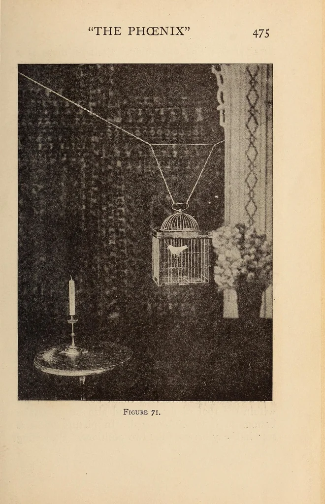 An illustration from Our magic : the art in magic, the theory of magic, the practice of magic, 1911, leaf 493
