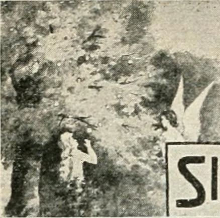 An illustration from Our paradise home; the earth made new and the restoration of all things, 1903, leaf 17