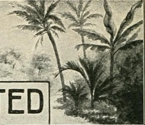An illustration from Our paradise home; the earth made new and the restoration of all things, 1903, leaf 17