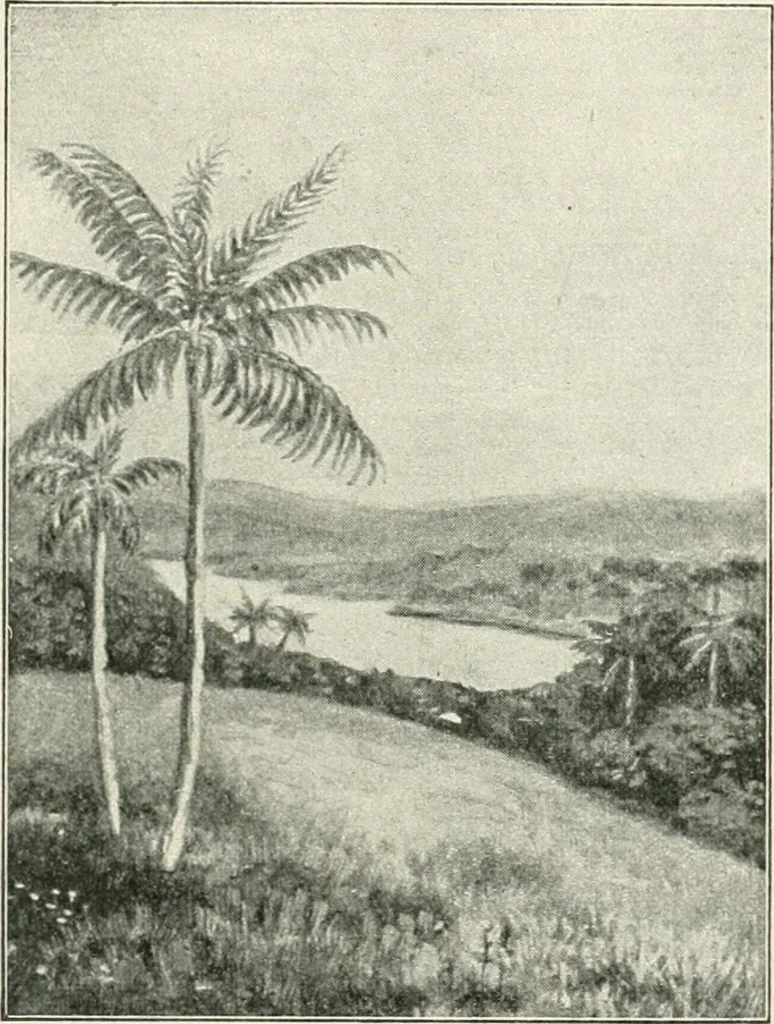 An illustration from Our paradise home; the earth made new and the restoration of all things, 1903, leaf 38