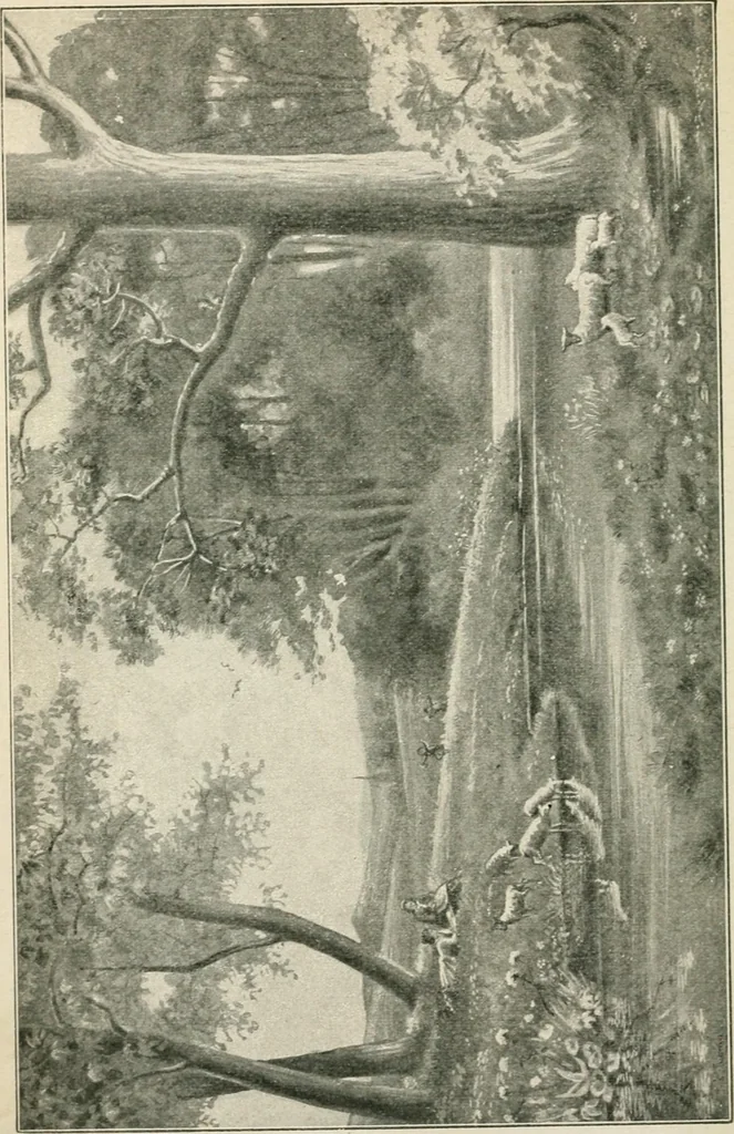 An illustration from Our paradise home; the earth made new and the restoration of all things, 1903, leaf 9
