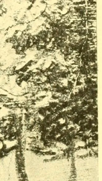 An illustration from Our Philadelphia, 1914, leaf 352